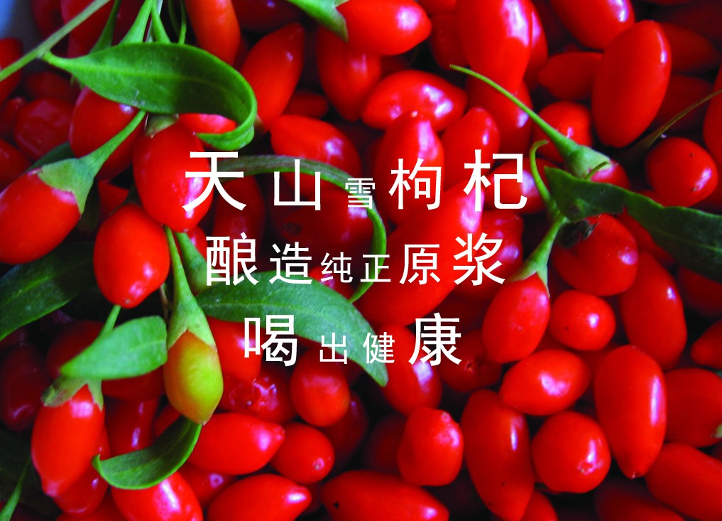 &#20048;&#40060;&#32593;&#39029;&#29256;&#45;&#20048;&#40060;&#40;&#20013;&#22269;&#41;&#23448;&#26041;